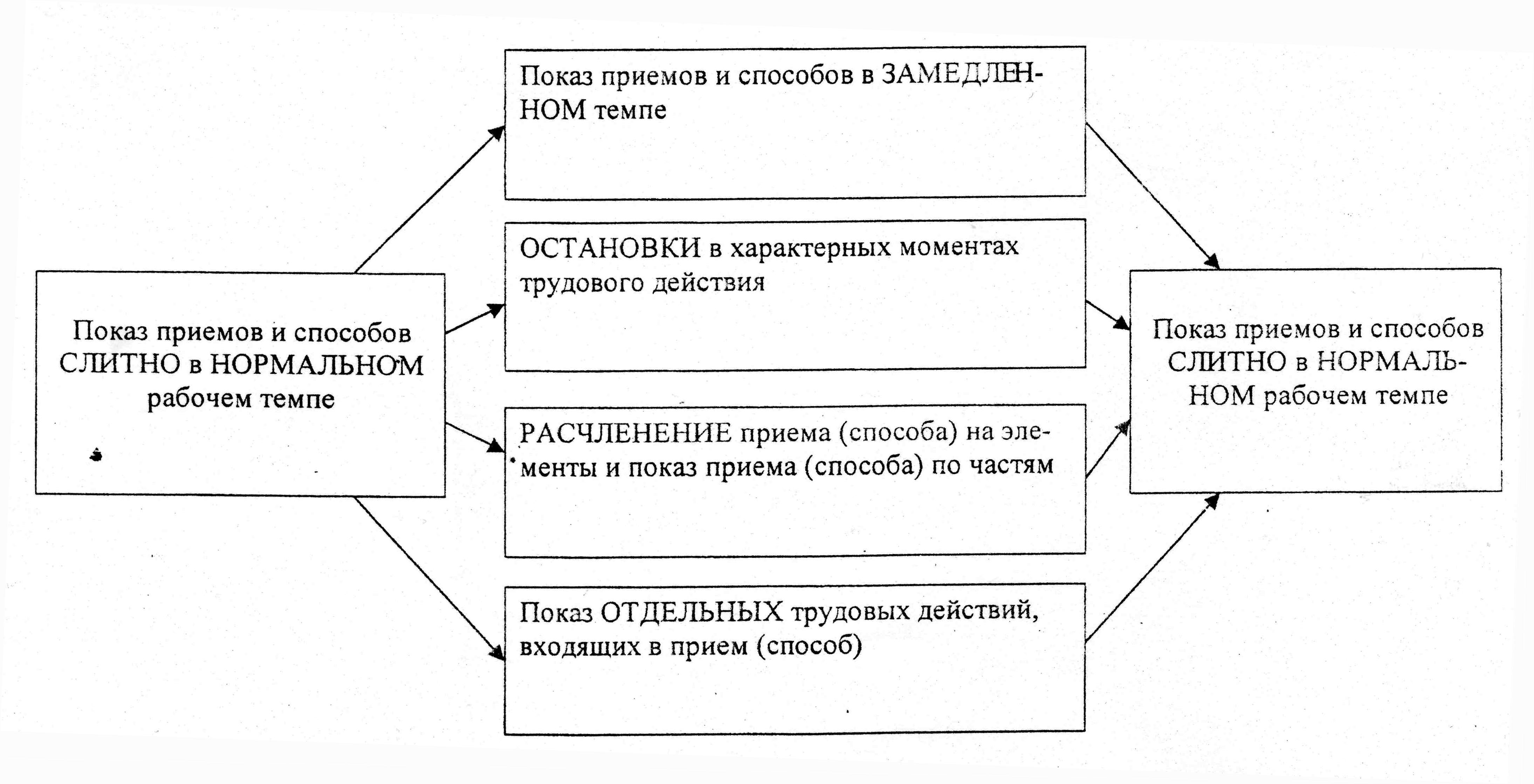 демонстрация приемов и способов выполнения работы (100) фото